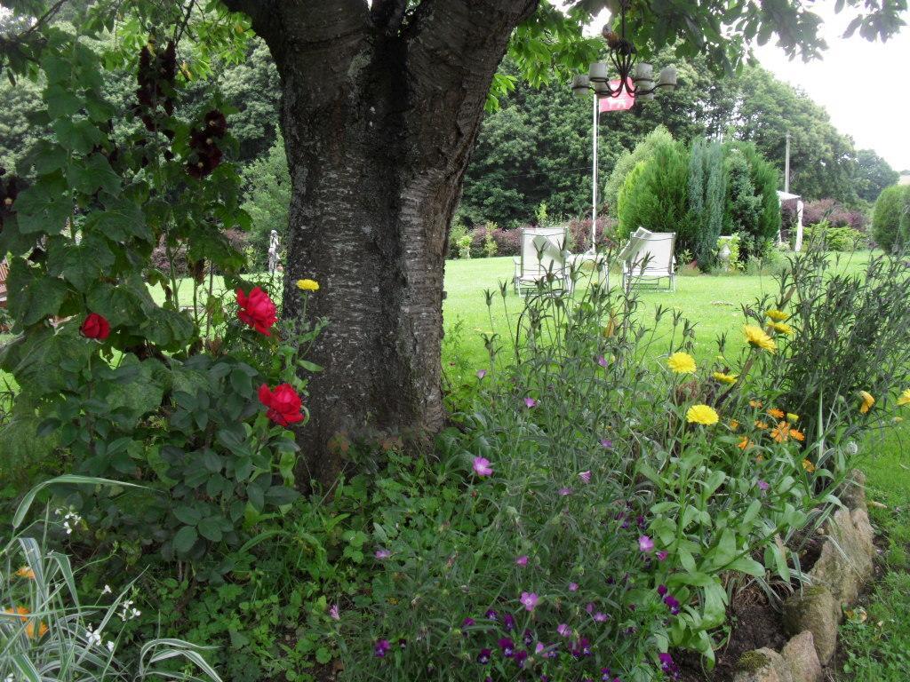 La Chevallerie B&B Isigny-le-Buat Екстериор снимка