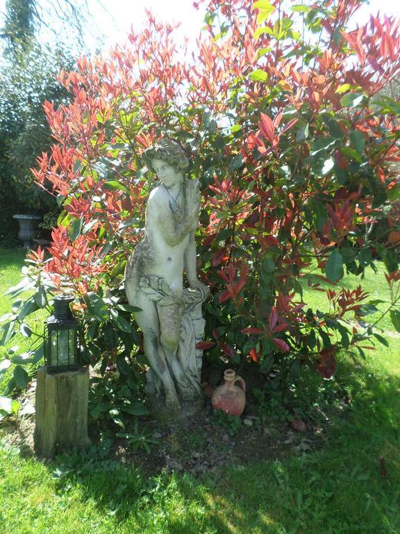 La Chevallerie B&B Isigny-le-Buat Екстериор снимка