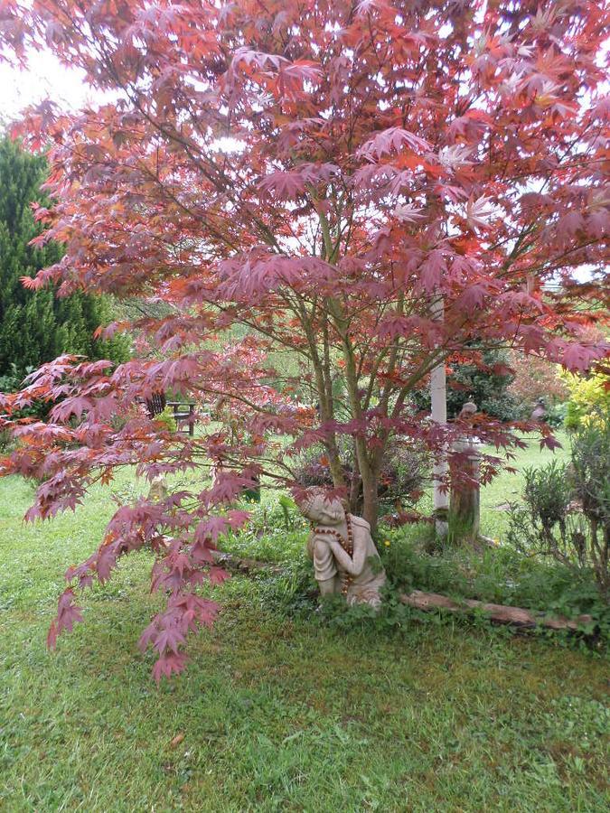 La Chevallerie B&B Isigny-le-Buat Екстериор снимка