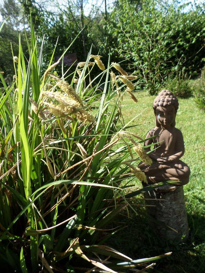 La Chevallerie B&B Isigny-le-Buat Екстериор снимка
